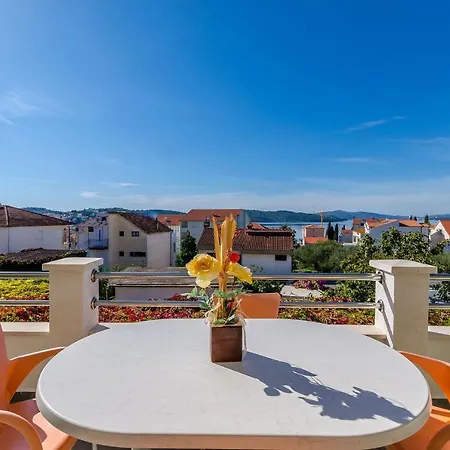 Apartment Palm Tree *