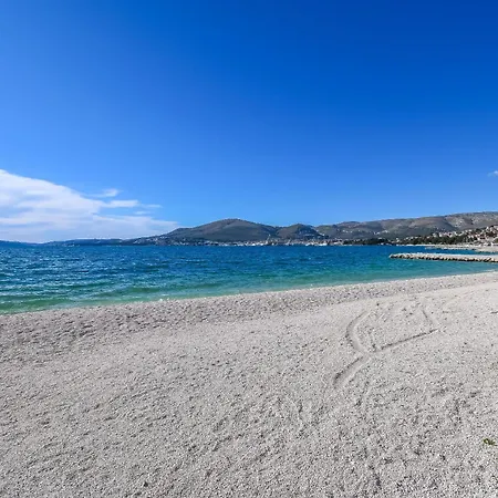 Palm Tree * تروغير