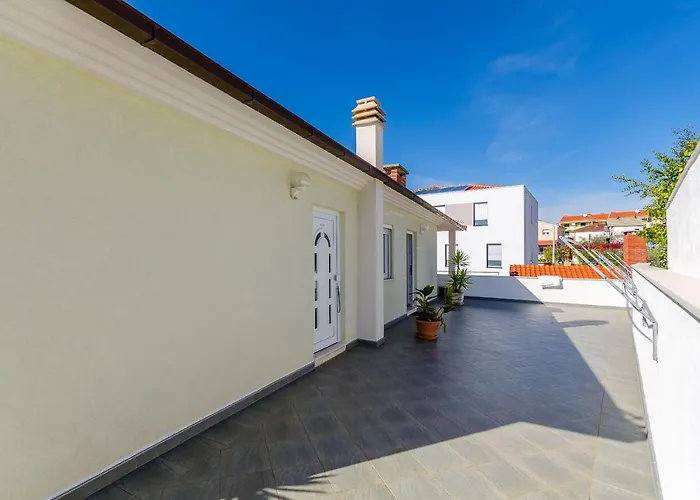 Palm Tree * 트로기르