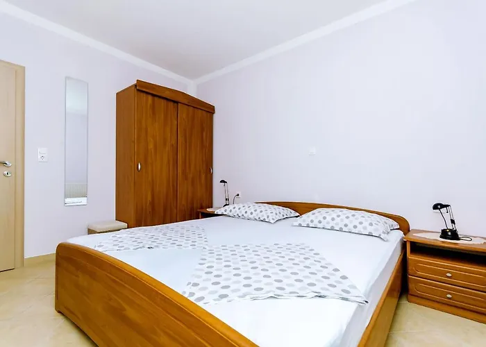 Palm Tree * 트로기르