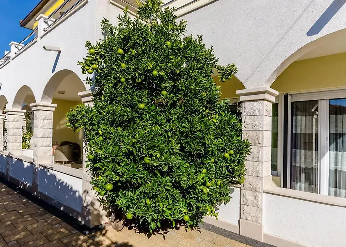 Palm Tree 아파트 *