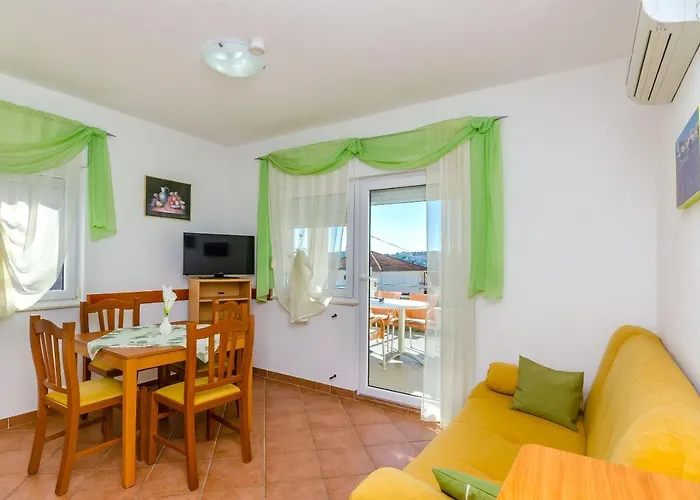 Palm Tree 트로기르