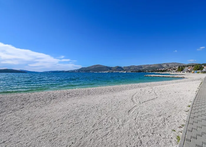 Palm Tree * تروغير