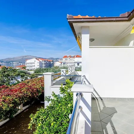 Palm Tree * Τρογκίρ