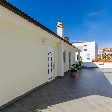 Palm Tree * Τρογκίρ