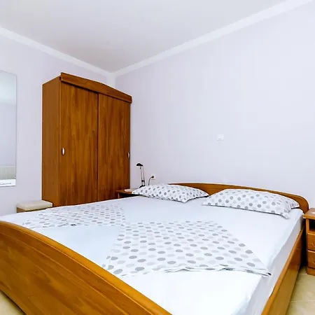 Palm Tree * Τρογκίρ