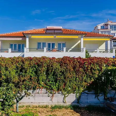 Διαμέρισμα Palm Tree *