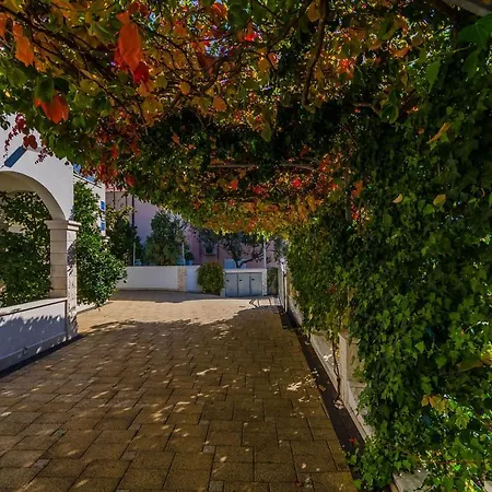 Palm Tree Διαμέρισμα